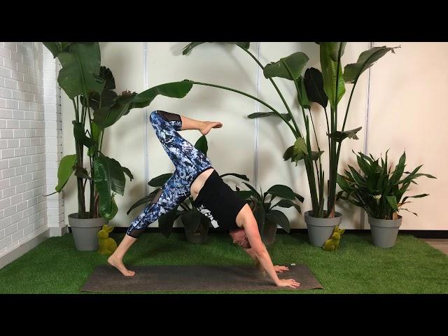 20 minute full-body yoga practice | Plant Powered Yoga