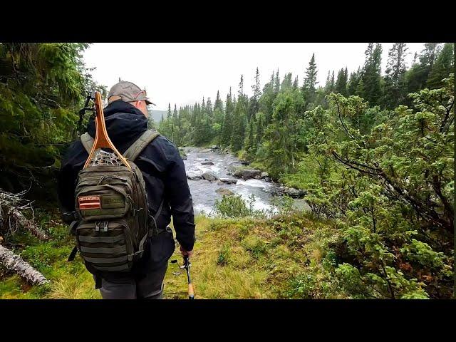 Fishing trip in the Swedish mountains. Grayling, pike, trout. Hiking along mountain rivers. ENG sub