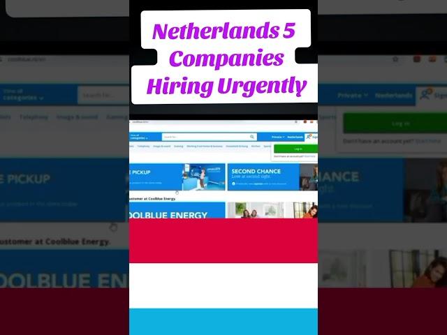Hurry Up! 5 Companies In Netherlands Hiring People from Abroad l Netherlands Work visa