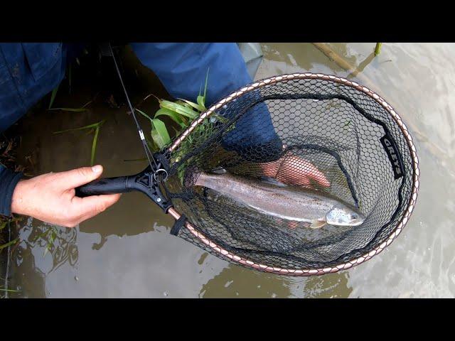 Queen of the Rivers - Danube Salmon | Huchen | Hucho Hucho | How to Catch a Trout in Wild River