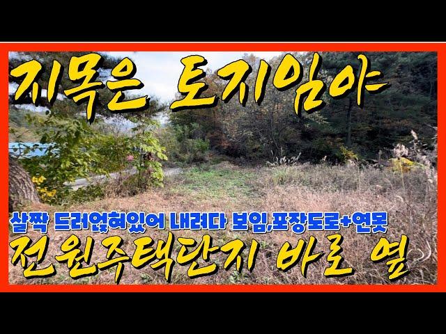 밭 같은 평수 작은 '임야',작은연못까지 멋져브러~ㅣ임야매매ㅣ영천부동산