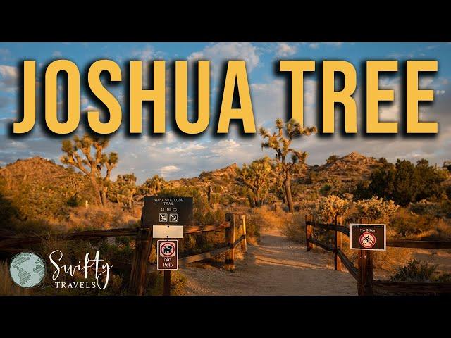 Visiting Joshua Tree National Park:  Helpful Tips + Campground Info