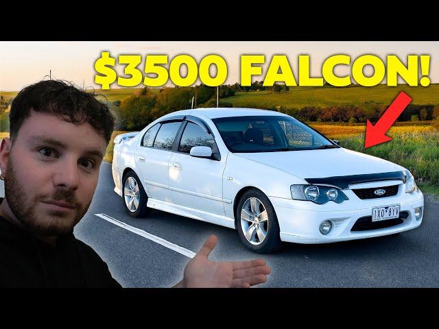 I Spent $3500 on a BF Falcon So You Don't Have To.