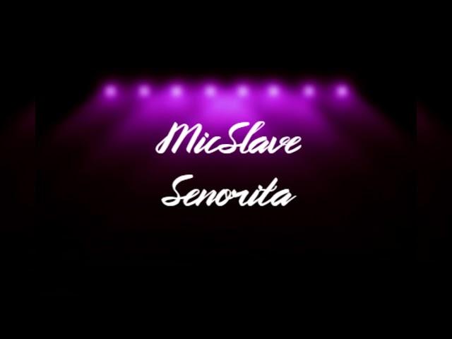 MicSlave // Senorita