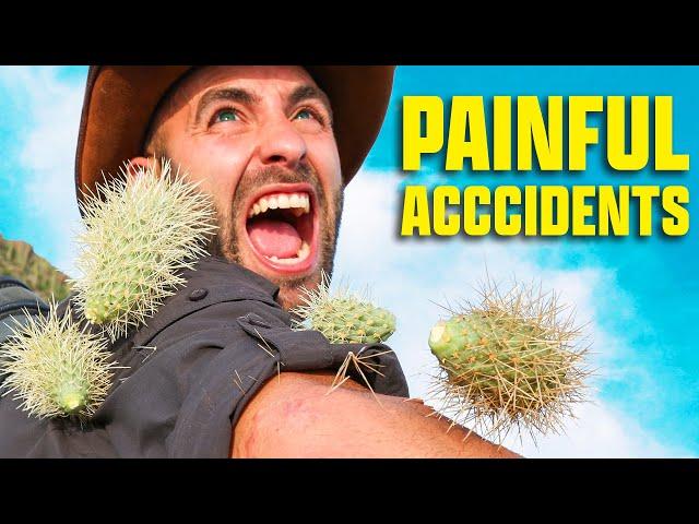 Accidents Do Happen! - Cactus Attack, Cliff Fall, Venomous Bites, and more!