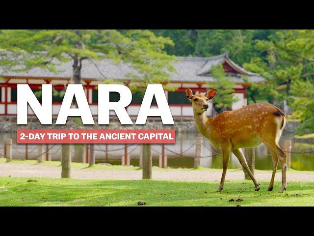 Essentials of NARA | 2-Day Trip | japan-guide.com