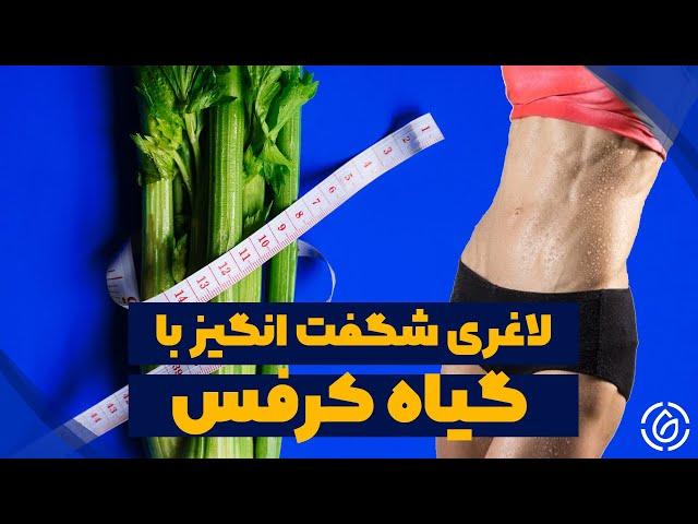 تاثیر فوق العاده کرفس و اب کرفس در لاغری  :: لاغری با کرفس در چند روز