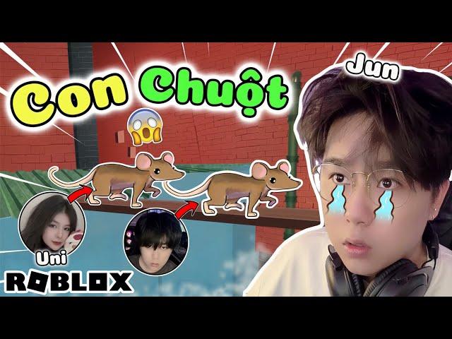 Roblox | Khi Jun với Uni trở thành Con Chuột thoát ra ống cống vượt ải