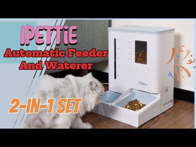 Pet Feeding Solution: Ipettie Automatic Feeder and Waterer 2-in-1 Set