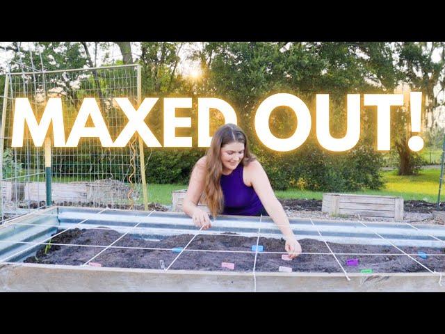 SQUARE FOOT GARDENING | How I grow up to 32 crops in 1 raised bed! Grow MORE in small spaces!