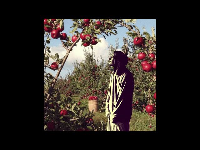 Blossom (feat. Oneson Clang) (prod. faux sala)