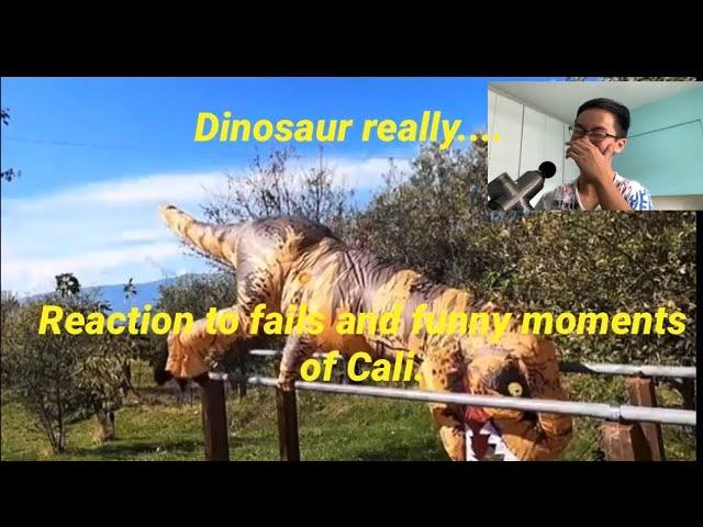 My reaction to calisthenics fails/ funny moments