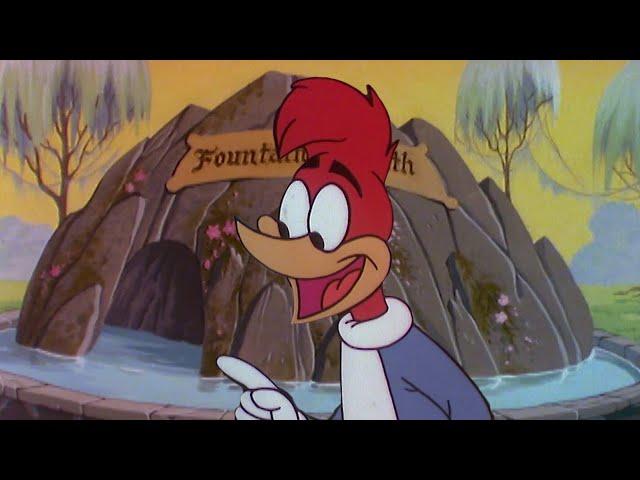 Is that the Fountain of Youth? | 2.5 Hours of Classic Cartoons | Woody Woodpecker