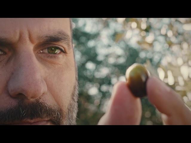 The Filippo Berio Olive Oil Advertisement