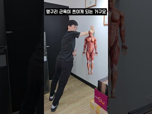 허리통증 있다면 꼭 해보세요! 최고의 코어운동 알려드립니다