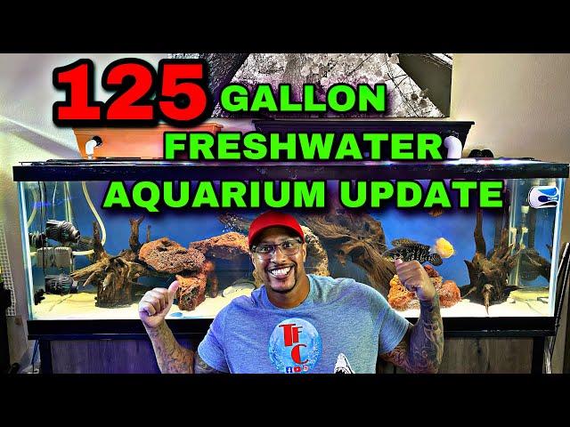 125 GALLON FRESHWATER AQUARIUM UPDATE!! ((How Much Did It Cost))