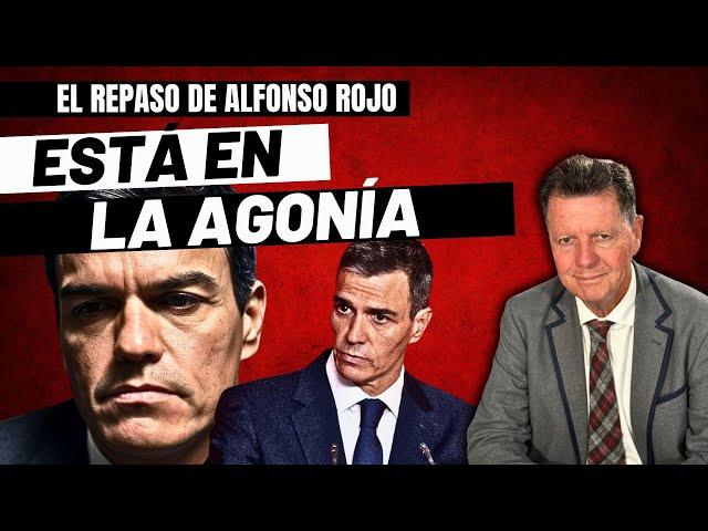 Alfonso Rojo: “Sánchez está en la agonía, el PSOE en pánico y a la vuelta del veraneo la espichan”