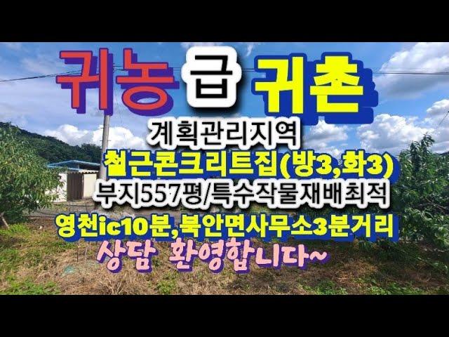 No187 영천ic10분거리귀촌,귀농 전원주택매매#영천촌집매매#영천땅매매