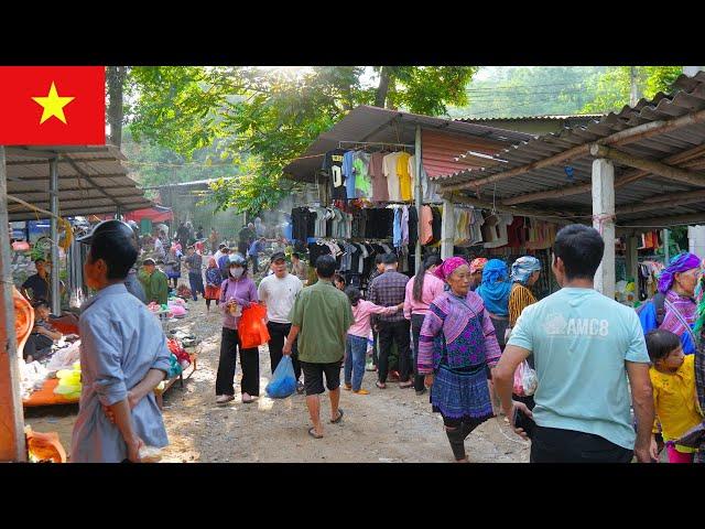 Hidden Highland Market of Vietnam | Cinematic Walking Tour at Nam Luc Weekly Fair