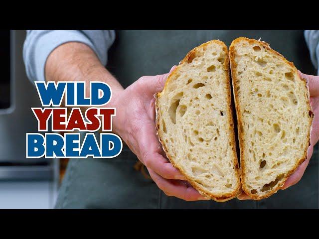 How to Make Wild Yeast Bread & Why It Works