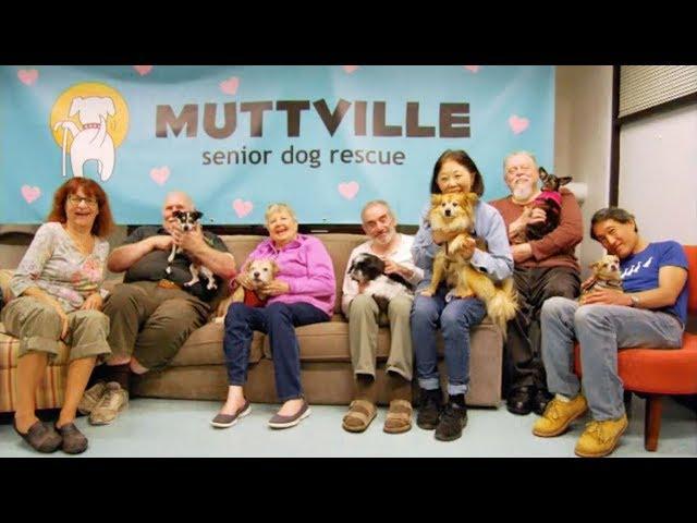 Muttville Senior Dog Rescue's Cuddle Club - Home & Family