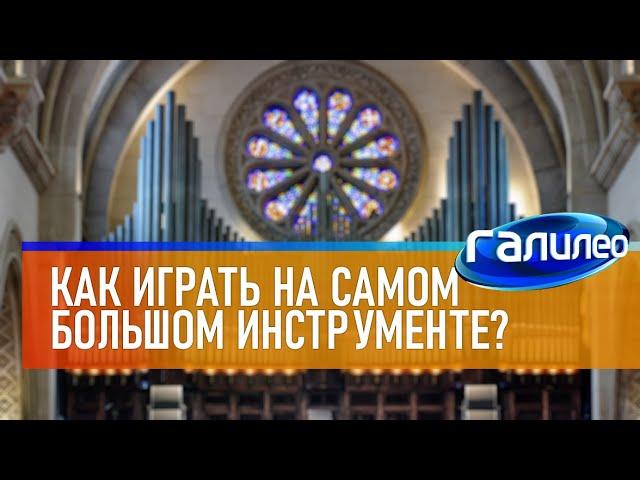 Галилео  Как играть на самом большом музыкальном инструменте?