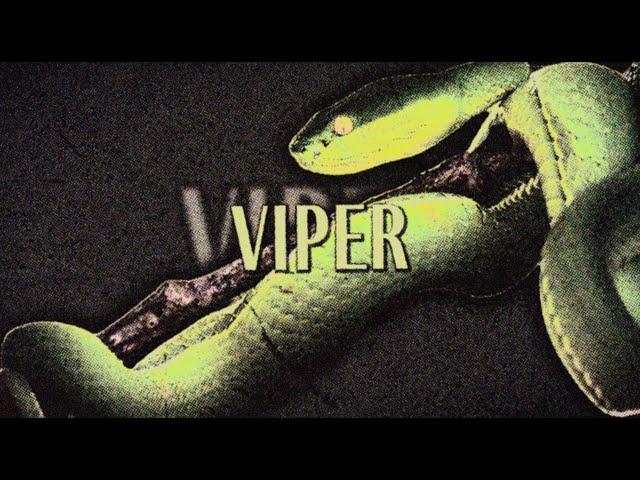 TroyBoi X Guaynaa - Viper | Official Lyric Video