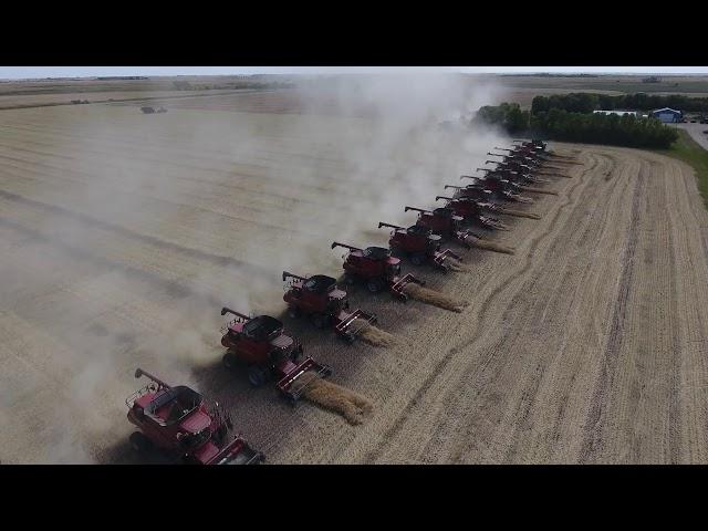 26 Combines - Canadian Foodgrains Bank Canola Harvest 2017 - Killarney