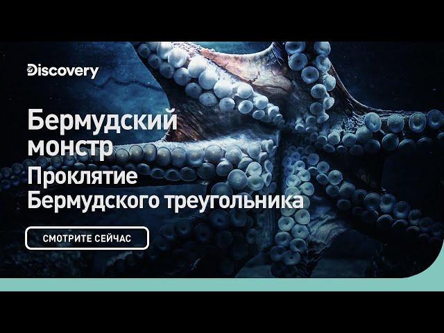 Бермудский монстр | Проклятие Бермудского треугольника | Discovery