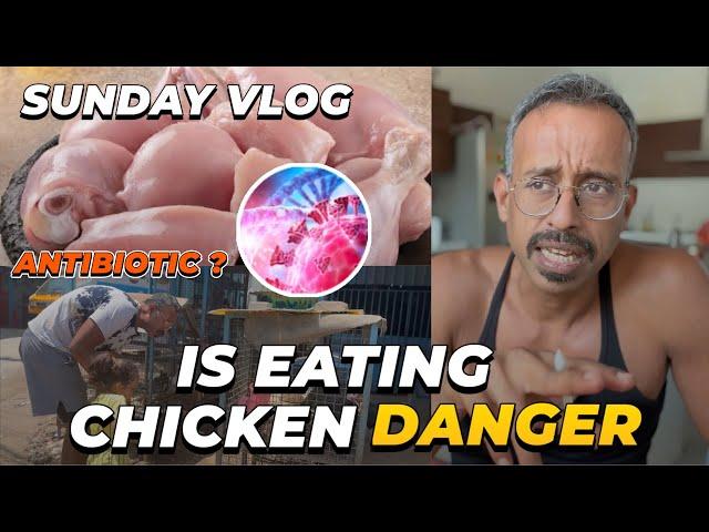 Is eating chicken is safe ? | explained in tamil 