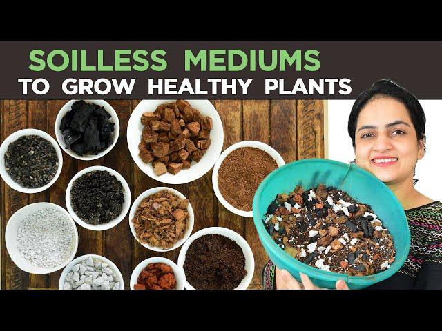 Mediums to Grow Plants without soil | 10 soilless Mediums you can use | Growing Mediums explained