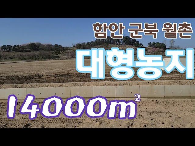 함안땅(농지)14000㎡(4200평) 군북면 월촌리 군북ic인근 한데 모여있는 10여필지의 쓸모많은 농지 함안촌집,의령땅,창녕땅,합천땅,산청땅,함안농지,의령농지,창녕농지,합천농지