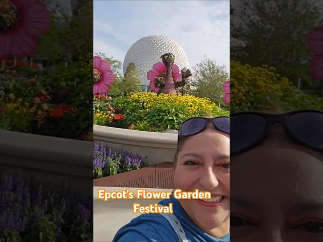 Epcot's Flower Festival   #Disney's #epcot #nature #flowers #sunny #flowers #nature #couples #fun