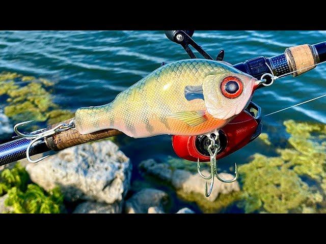 Making Musky Baits and Fishing with a Pro