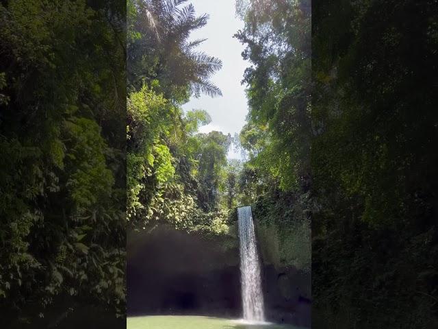 Tibumana Waterfall Bali is a hidden waterfall near Ubud, perfect to chill on a hot day #bali #ubud