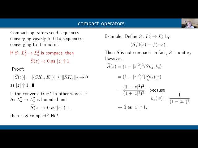 The Berezin Transform on the Bergman Space