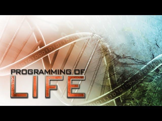 Programming of Life