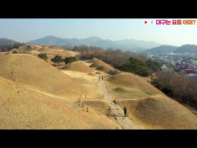 올록볼록 신기한 불로동 고분군 | 요즘대구