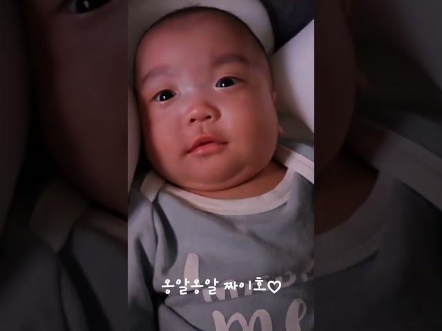 63일 짜이호 #옹알옹알 #쇼츠 #아기 #baby #babyboy #베시시 #짜이호