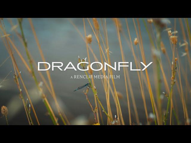 Dragonfly // BMPCC 6K Cinematic Short Film