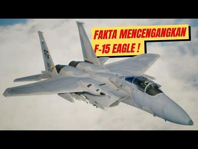 Hampir 50 TAHUN, F 15 Masih Tetap Kuat Menjadi Petarung UDARA!