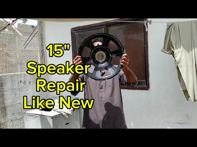 15 " Speaker Repair