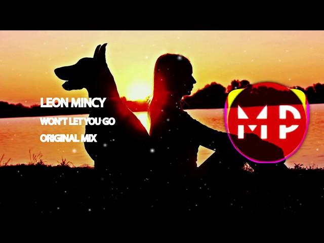 [FUTURE HOUSE] Leon Mincy - Won’t Let You Go (Original Mix)