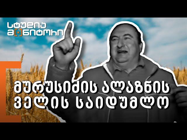 მურუსიძის ალაზნის ველის საიდუმლო