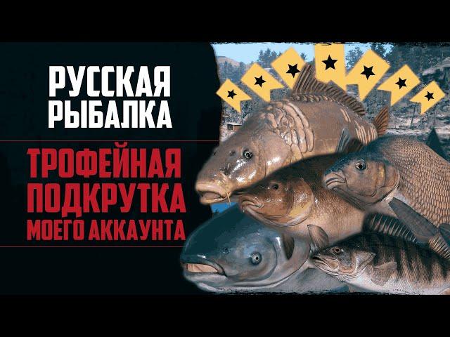 Новый Путь в РР4 #6  Трофейная Рыбалка | Фарм на Карпе и Амуре | Сборка для Хищника на р.Белой