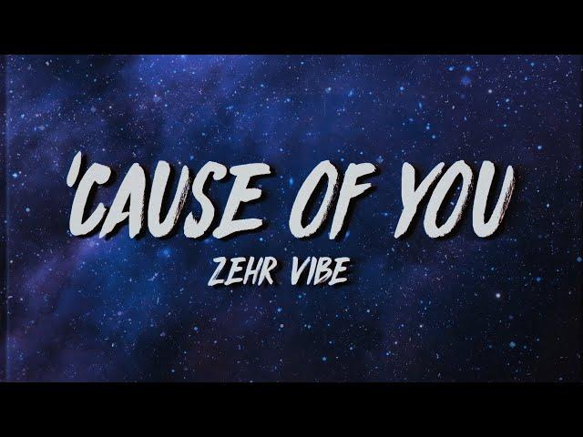 Zehr Vibe - Cause Of You (Lyrics/Meaning)