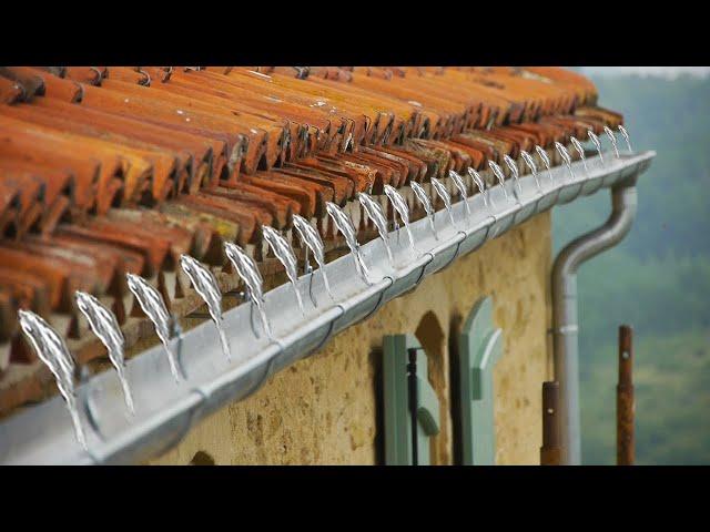 Farmhouse Restoration  |  Gutters