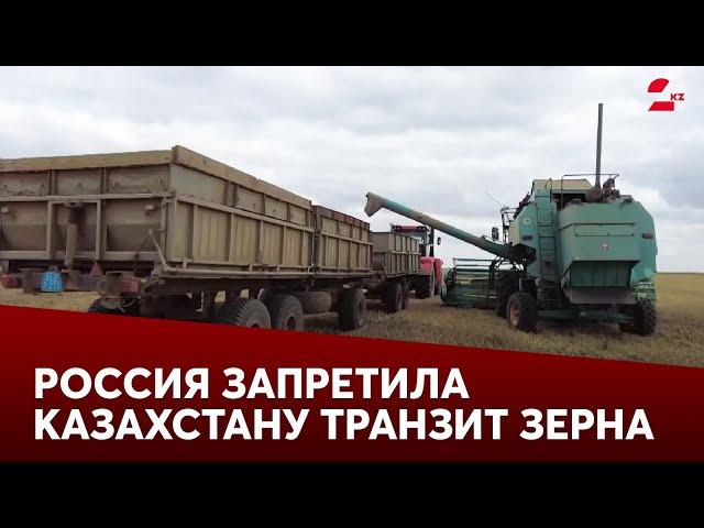 Россия запретила Казахстану транзит зерна: наши фермеры останутся в убытке? | Мәжіліс Live