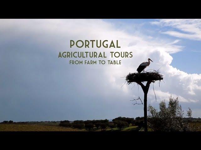 Farm Tours Portugal