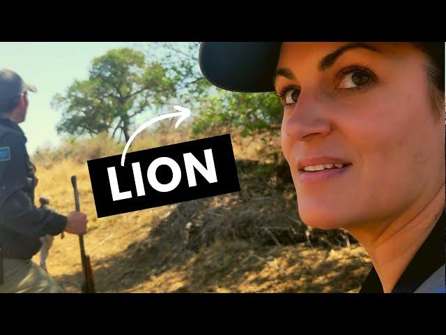 Lion Sands Safari: We Were Surprised by a Lion while on Foot! (Part 1 of 2)